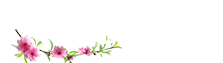 Giao diện website du lịch